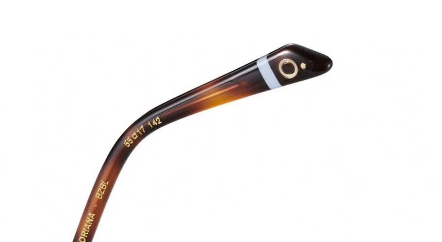 Etnia Barcelona VILLA GREGORIANA Eyeglasses - view 13